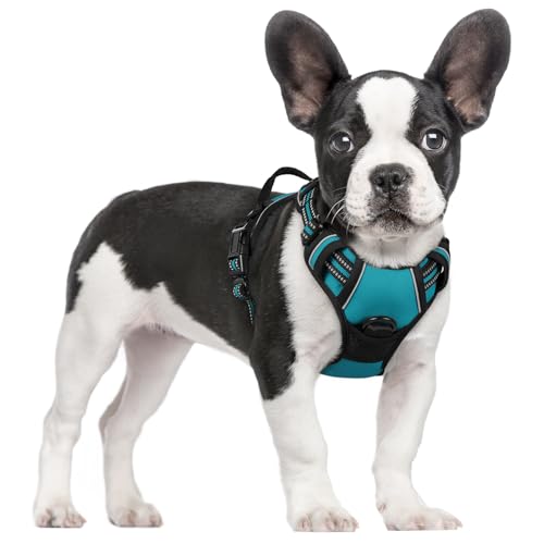 Dog Harness No Pull for Small Dogs with 2 Leash Clips (Small / Teal)
