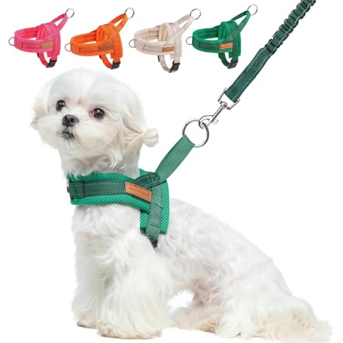 Small Dog Harness and Leash Set (Green / S: Chest 17.5"-22")