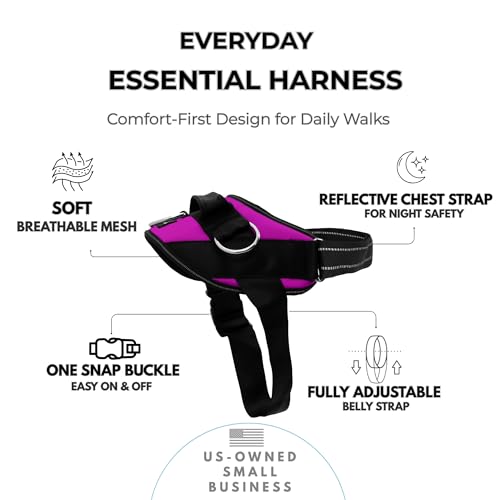 Essential Dog Harness (Orchid / XS)