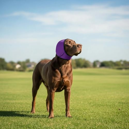 No Flap Ear Wraps for Dogs (Purple / L)
