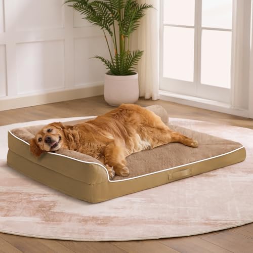 XXL Orthopedic Dog Bed (48.0"L x 35.0"W x 7.5"Th / Camel)