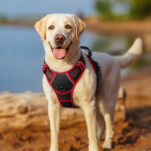 Dog Harness No Pull Medium Sized with 2 Leash Clips (Medium / Black & Red)