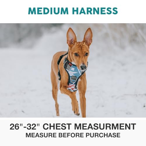 Embark No Pull Dog Harness (M / Maverick)