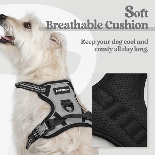 Dog Harness No Pull with 2 Leash Clips (X-Small / Gray)