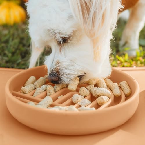 Slow Feeder Dog Bowl (Terracotta / Small (6” Across x 1.25” Tall))