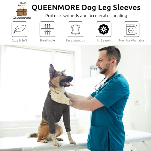 Large Recovery Suit for Dogs (XX-Large / Grey)