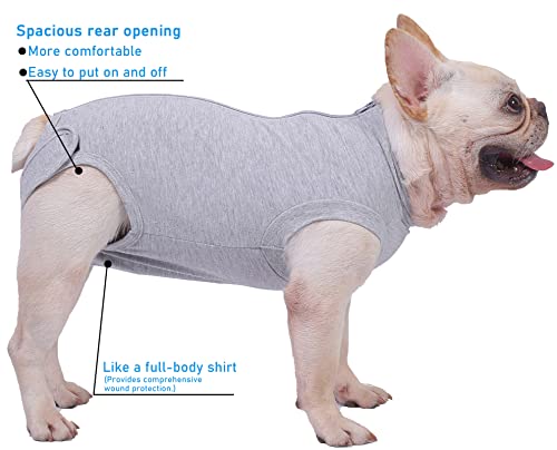 Dog Surgery Recovery Suit (2XL(Back 21- 23" Chest 26- 28" Weight 57- 80lb) / Grey)