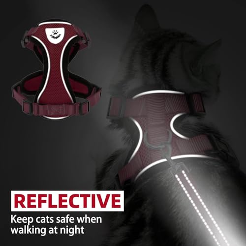 Cat Harness and Leash Set Escape Proof Reflective Cat Walking Harness Adjustable Soft Breathable Mesh Vest for Small Pets (M (NECK 11"-13.7", CHEST 16"-20") / Red)