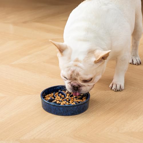 Ceramic Slow Feeder Dog Bowls (S-0.6 Cups / Blue)