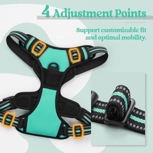 Dog Harness No Pull Medium Sized with 2 Leash Clips (Medium / Turquoise)