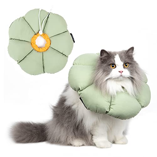 Cat Cone Collar (Small / Green Flower)