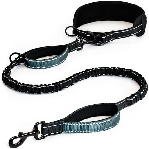 Waist Leash for Dog Walking (Black / Iron Grey)