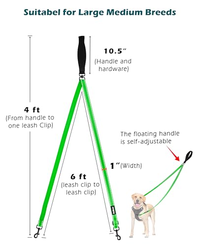 Two Point Control Dog Leash (Grass Green)