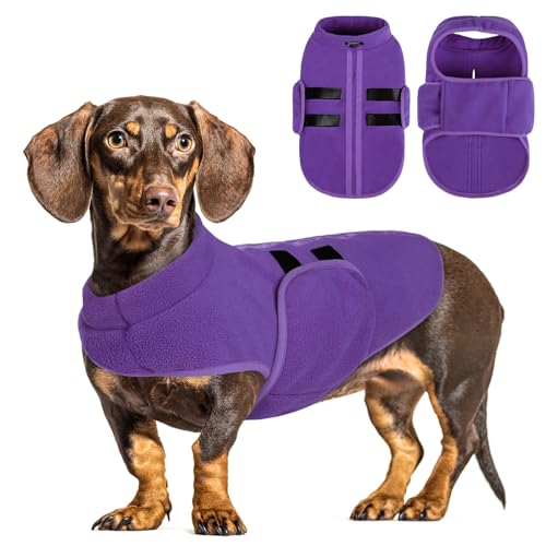 Small Dog Sweater (Lavender / X-Small)