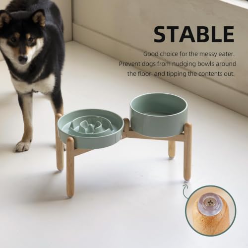 Elevated Slow Feeder Dog Bowls (Light Green)
