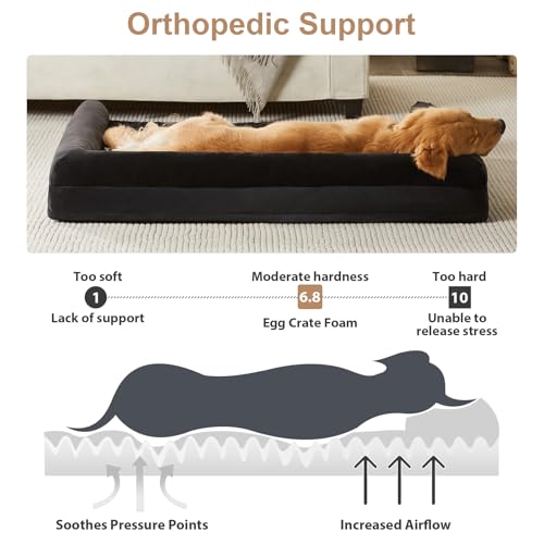 Orthopedic Washable Large Dog Bed for Senior Dog Comfy Sleep (36"l x 27"w x 6.5"th / Black)