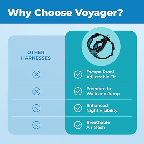 Voyager Escape (Black Trim-Turquoise (327) / XXS (Chest: 11.5 - 14"))