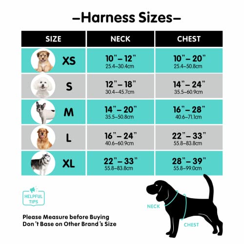 Mesh Dog Harness (S / Purple)