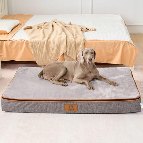Orthopedic Memory Foam Giant Dog Bed (53.0"L x 36.0"W x 6.0"Th / Light Grey)