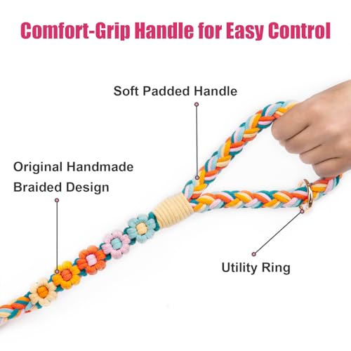 5FT Braided Cotton Rope Leash for Small (Fiesta Twist)