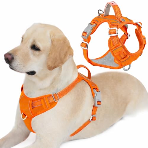 No Pull Dog Harness for Large Dogs (Large(Chest:24.5-32.5") / Pumpkin-Oxford)
