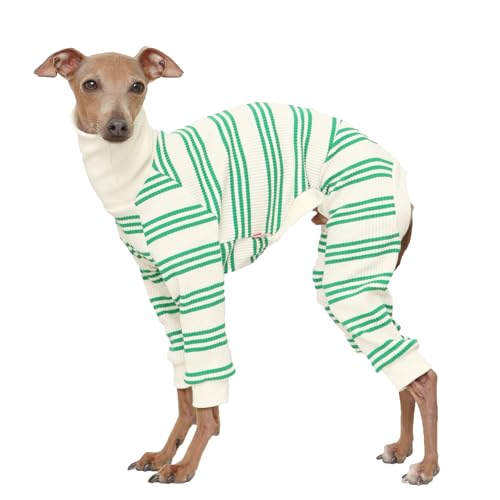 D Doggy Star Italian Greyhound Clothes Soft Stretchy Onesie Refined Stripe Outfit Whippet for Dog Coat (XL / Onesie Green Stripe)