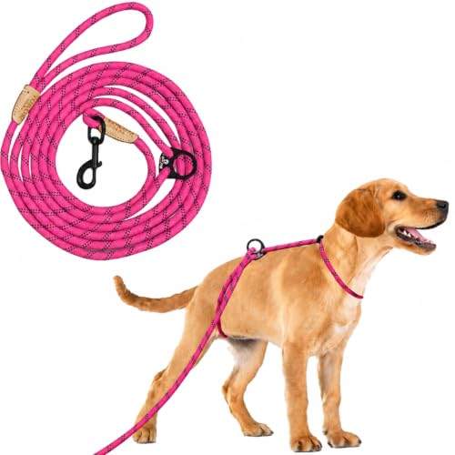 12ft No Pull No Choke Leash Long Rope Dog Leash (12 Ft / HOT PINK)