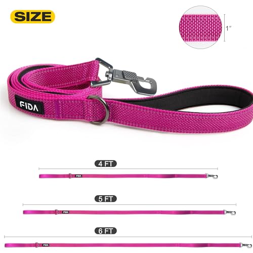 Heavy Duty Dog Leash for Medium Large Dogs (6 Feet (Pack of 1) / Rose)