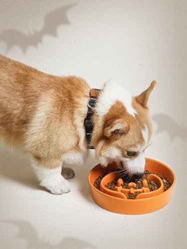 Ceramic Slow Feeder Dog Bowl for Small Medium Dogs & Puppy (Pumpkin Orange / M-1.5 Cups)