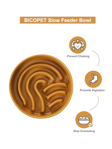 Ceramic Slow Feeder Dog Bowl (Waves-Orange / Small)