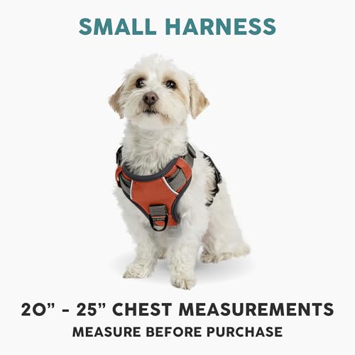 Embark No Pull Dog Harness (S / Orange)