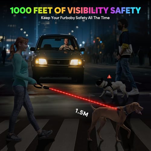 5Ft Light Up Dog Leash (5Ft)