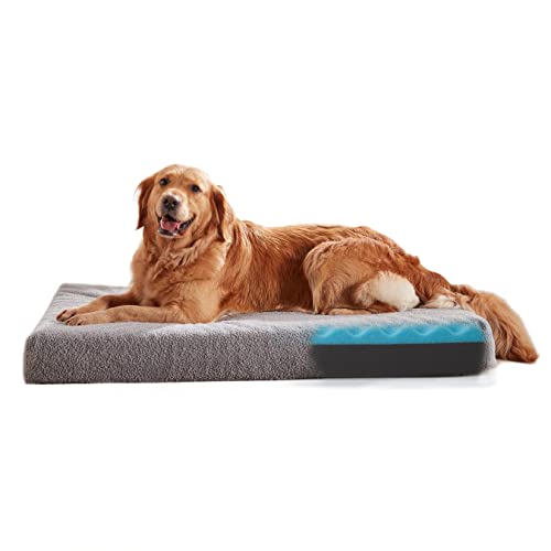 Orthopedic Extra Large Dog Bed for Large Dogs (Light Grey / X-Large-41"x 29" x 3.5")