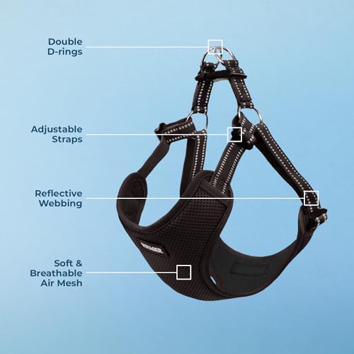 Voyager Step in Flex Adjustable Dog Harness (Harness (Black) / XS)