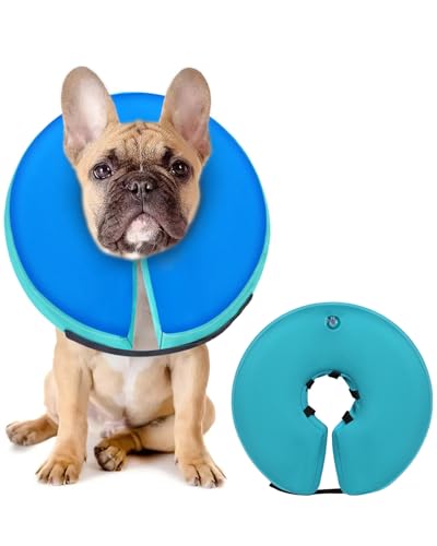 Inflatable Dog Cone (GreenBlue / M+(14"-18"))