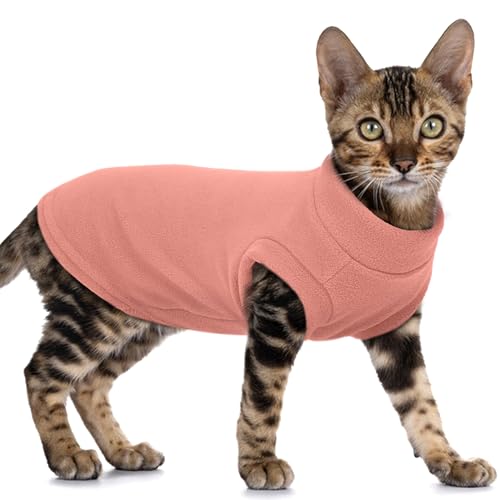 Hairless Cat Clothes (Large / Pink)