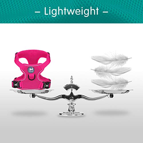 Mesh Dog Harness (L / Fuchsia)