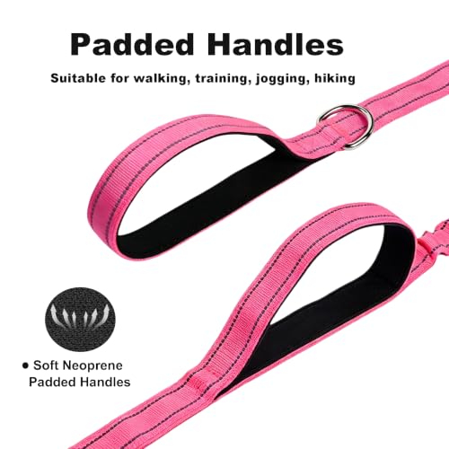 Bungee Dog Leash 5FT (Hot Pink / 5FT-6FT)