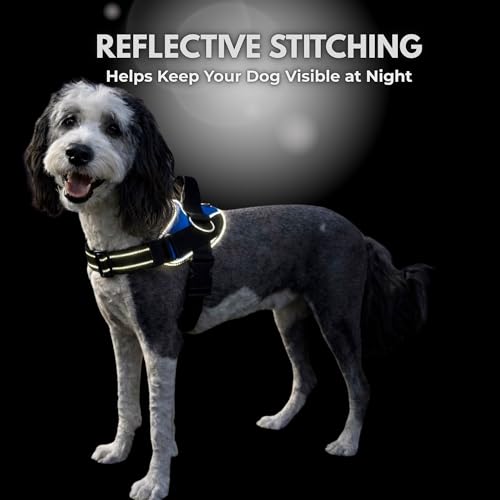 Essential Dog Harness (Pacific Blue / S)