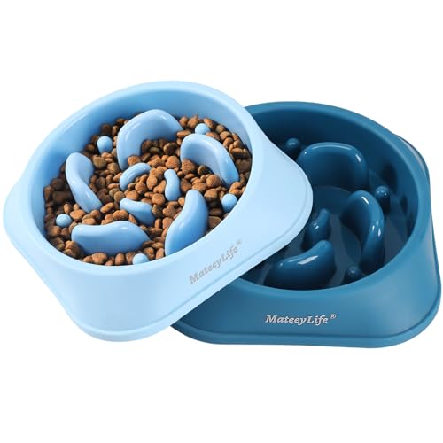 2 Pack Slow Feeder Dog Bowls (A-LightBlue&DarkBlue / Medium)