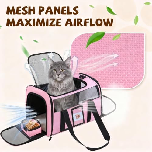 Large Soft Cat Carrier Up to 28 Lbs (Pink / 13.0"L x 13.0"W x 20.0"H)