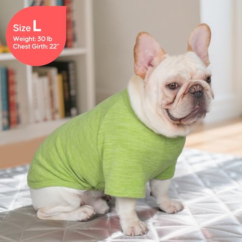2Pack Dog Sweater with Sleeves Fleece Shirt for Small Dogs (Medium (8.5-13lbs) / 04# 2Pack(Green+Stripe))