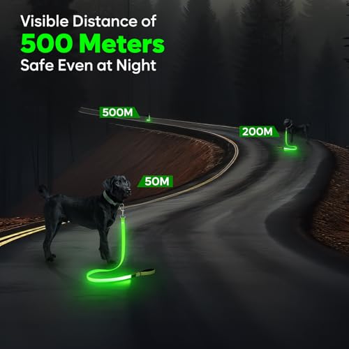 LED Dog Leash (Green)