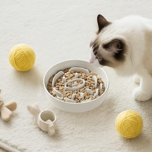 Ceramic Slow Feeder Dog Bowl (White / Small without Stand)