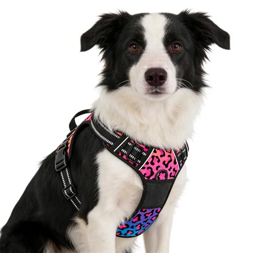 No Pull Dog Harness (Neon Leopard Print / Medium)