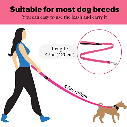 LED Dog Leash (PinkⅡ)