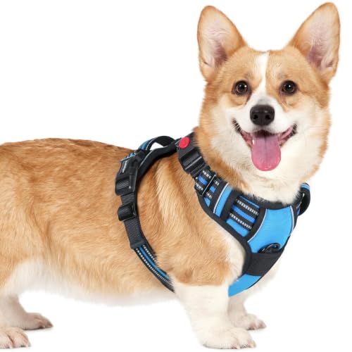 Dog Harness Small Sized (Small / Sky Blue)