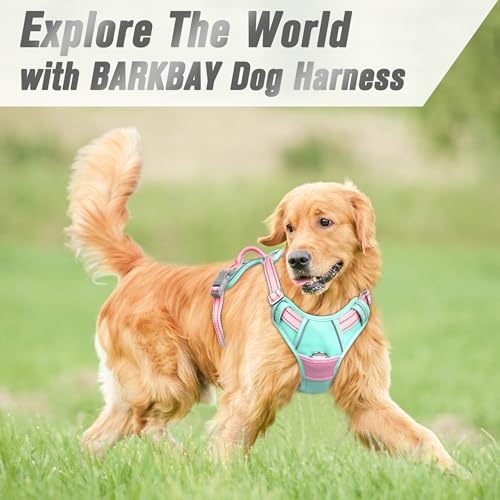 Dog Harness No Pull for Large Dogs Front Back Clips (X-Large(Chest:30-38”) / Cool Mint & Baby Pink)