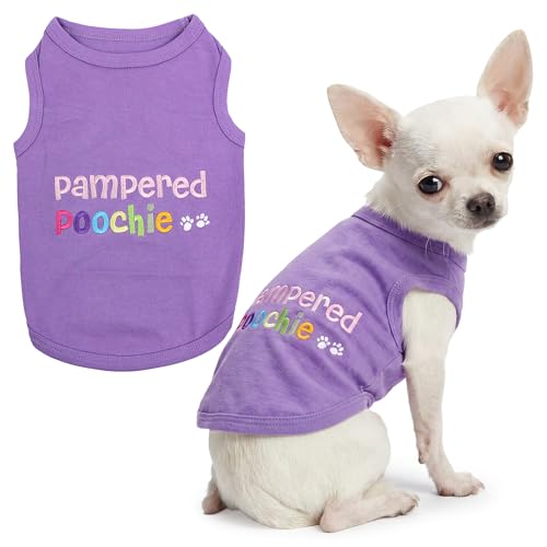 Dog Shirt 100% Cotton Shirts for Small Dogs (Extra Extra Small / Pampered Poochie)