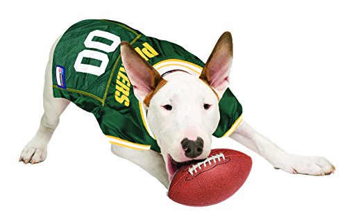 NFL Green Bay Packers Dog Jersey (X-Large / Green Bay Packers)